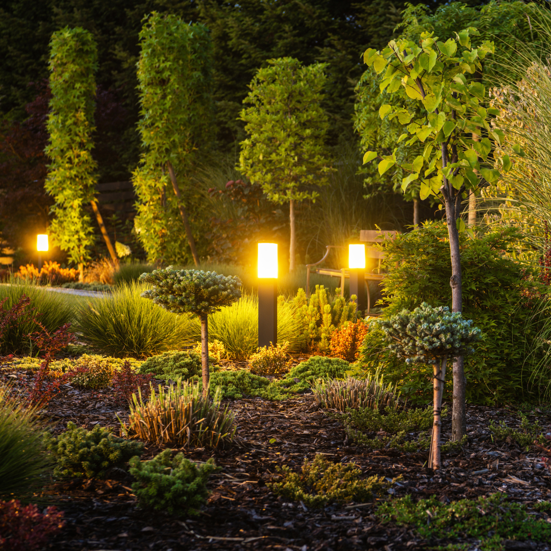 Backyard Oasis Unveiled: Permanent Lighting Solutions for Backyard Landscapes